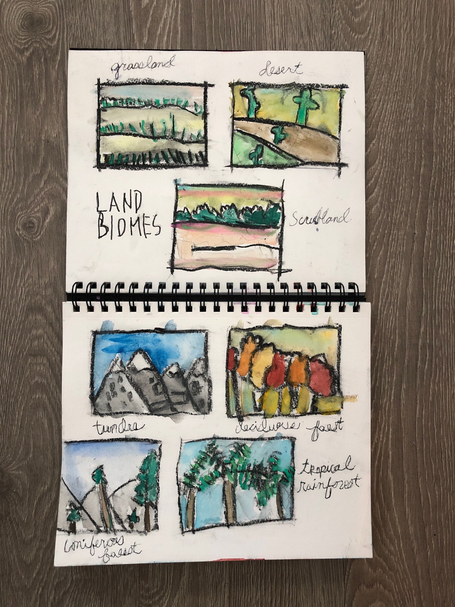 cc cycle 2.week 2.science.land biomes